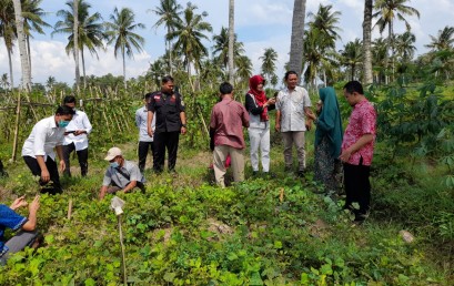 Wujudkan Smart Farming di Desa Cintamulya, Dosen IIB Darmajaya akan Terapkan IoT