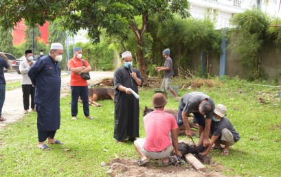 Yayasan Alfian Husin dan IIB Darmajaya Sembelih Tujuh Hewan Qurban di Dua Tempat