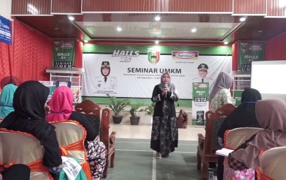 Dosen IIB Darmajaya Isi Seminar UMKM Pemkab Tanggamus